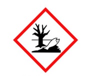 Pictogramme SGH09 — danger pour le milieu aquatique